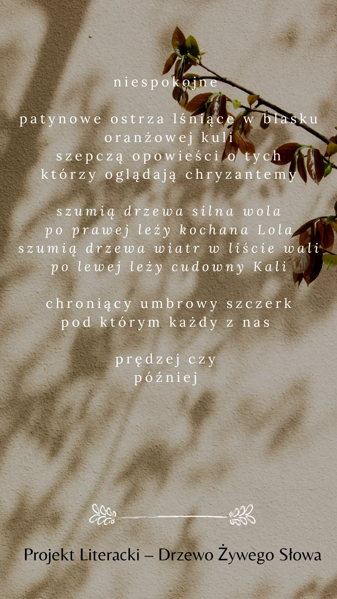 Zdjęcie główne