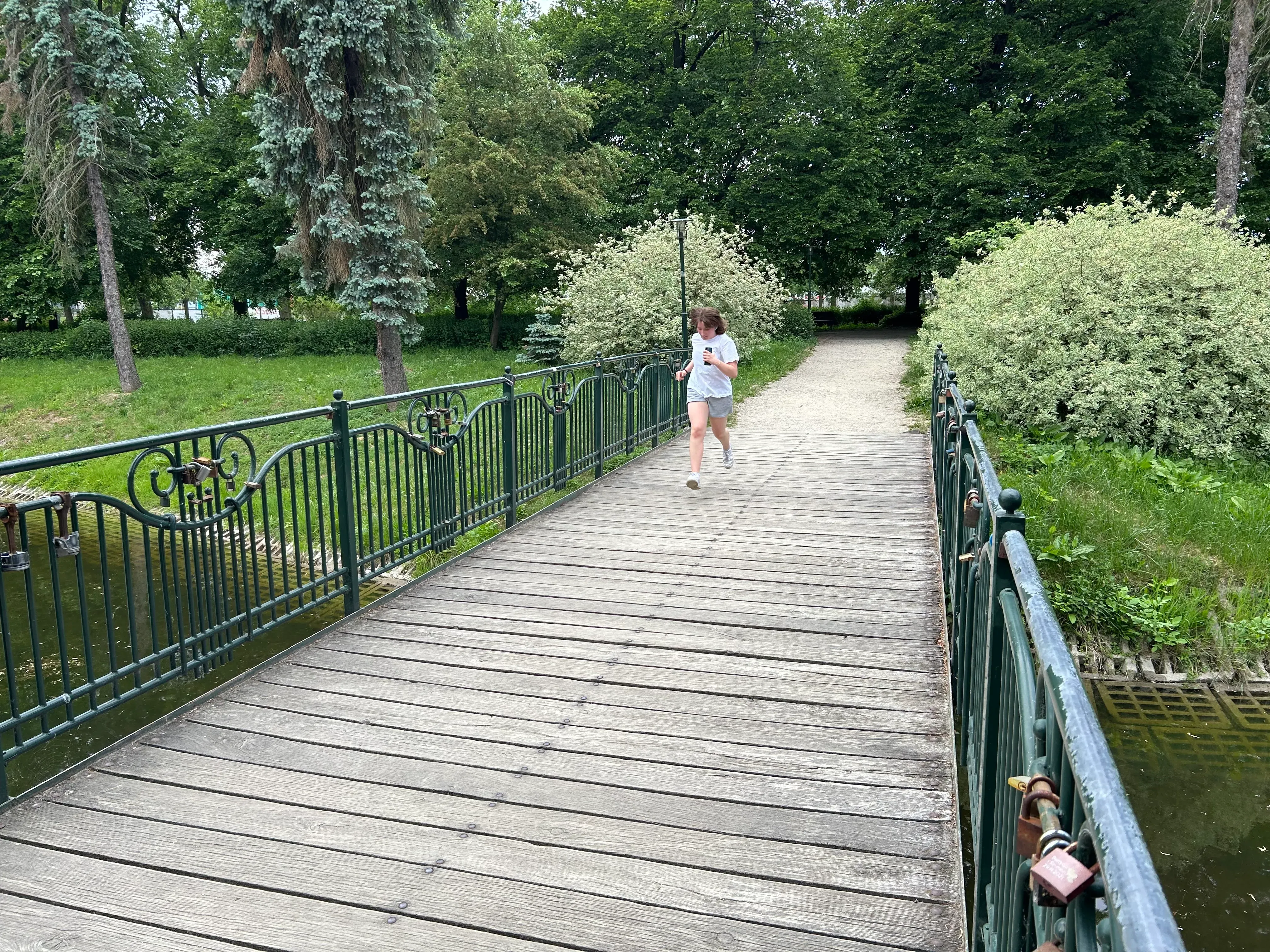 Zdjecie w galerii