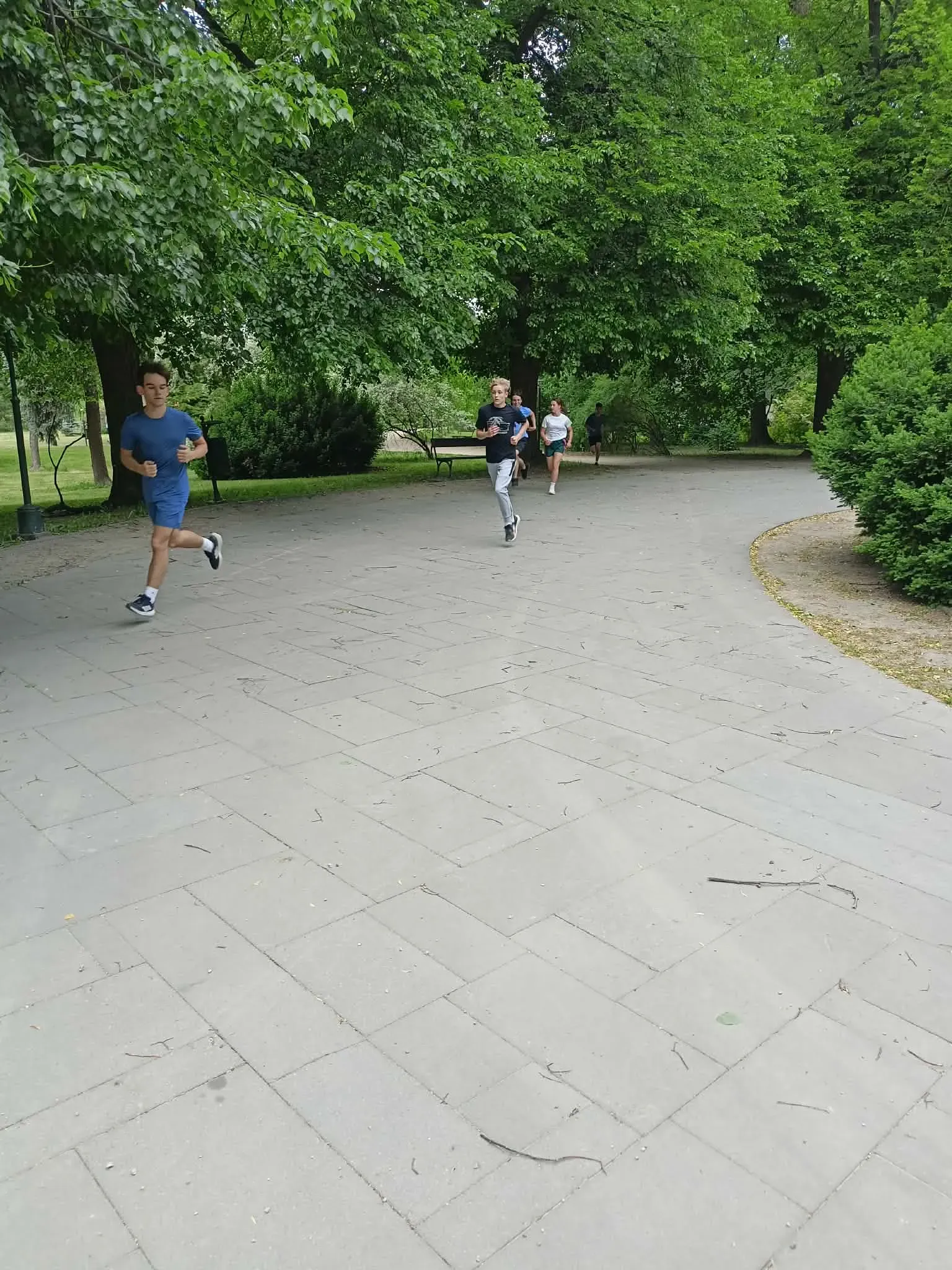Zdjecie w galerii