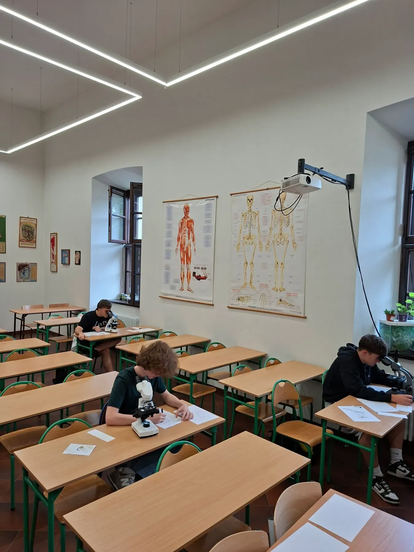 Zdjecie w galerii