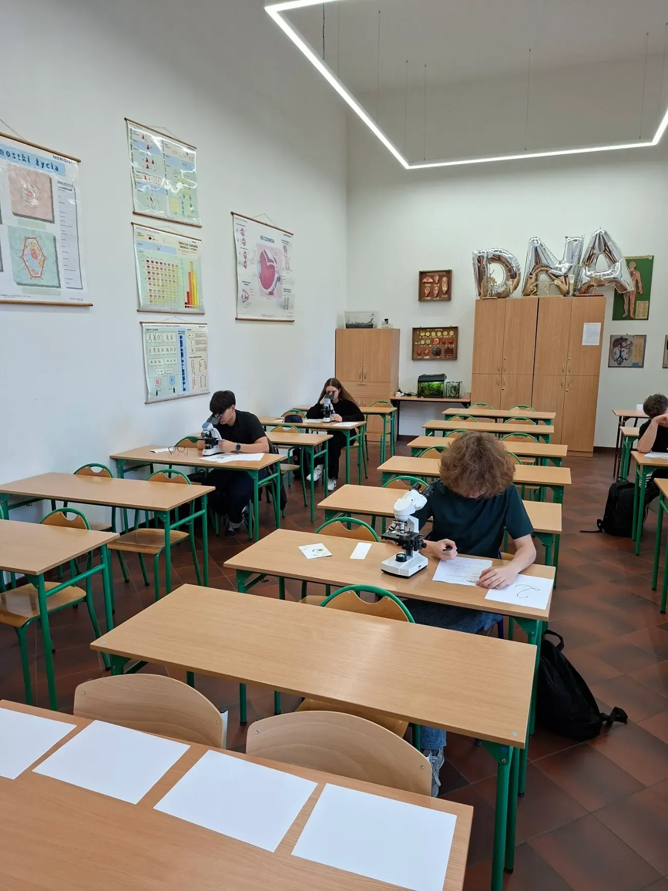 Zdjecie w galerii