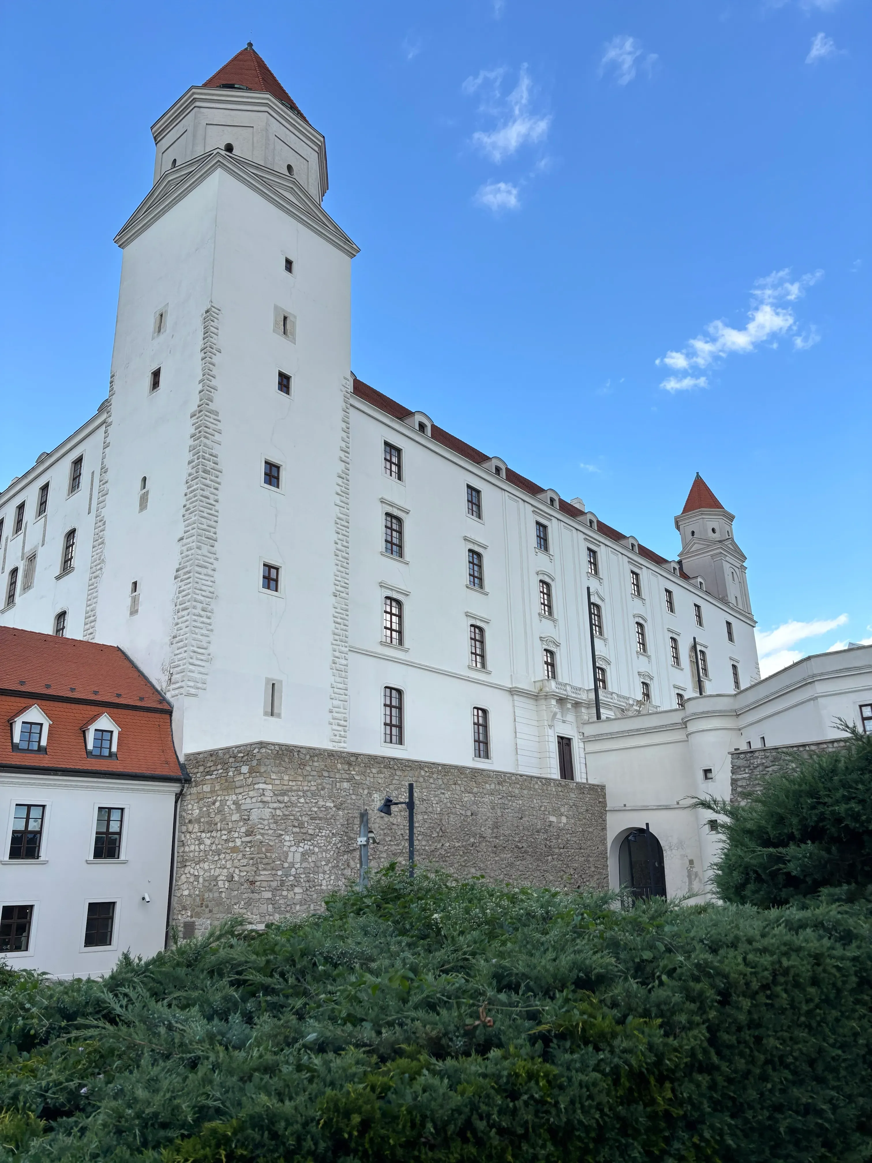 Zdjecie w galerii
