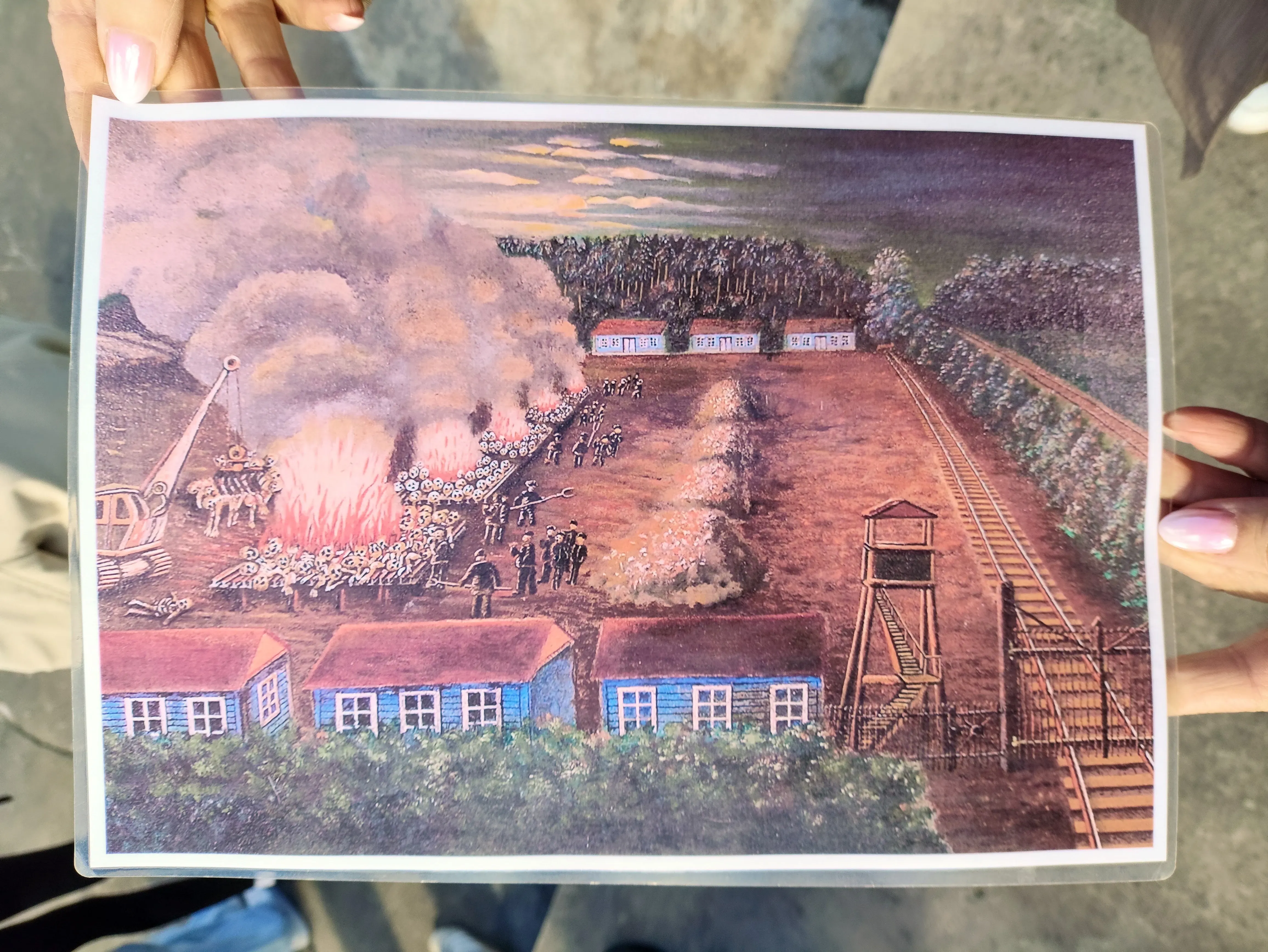 Zdjecie w galerii