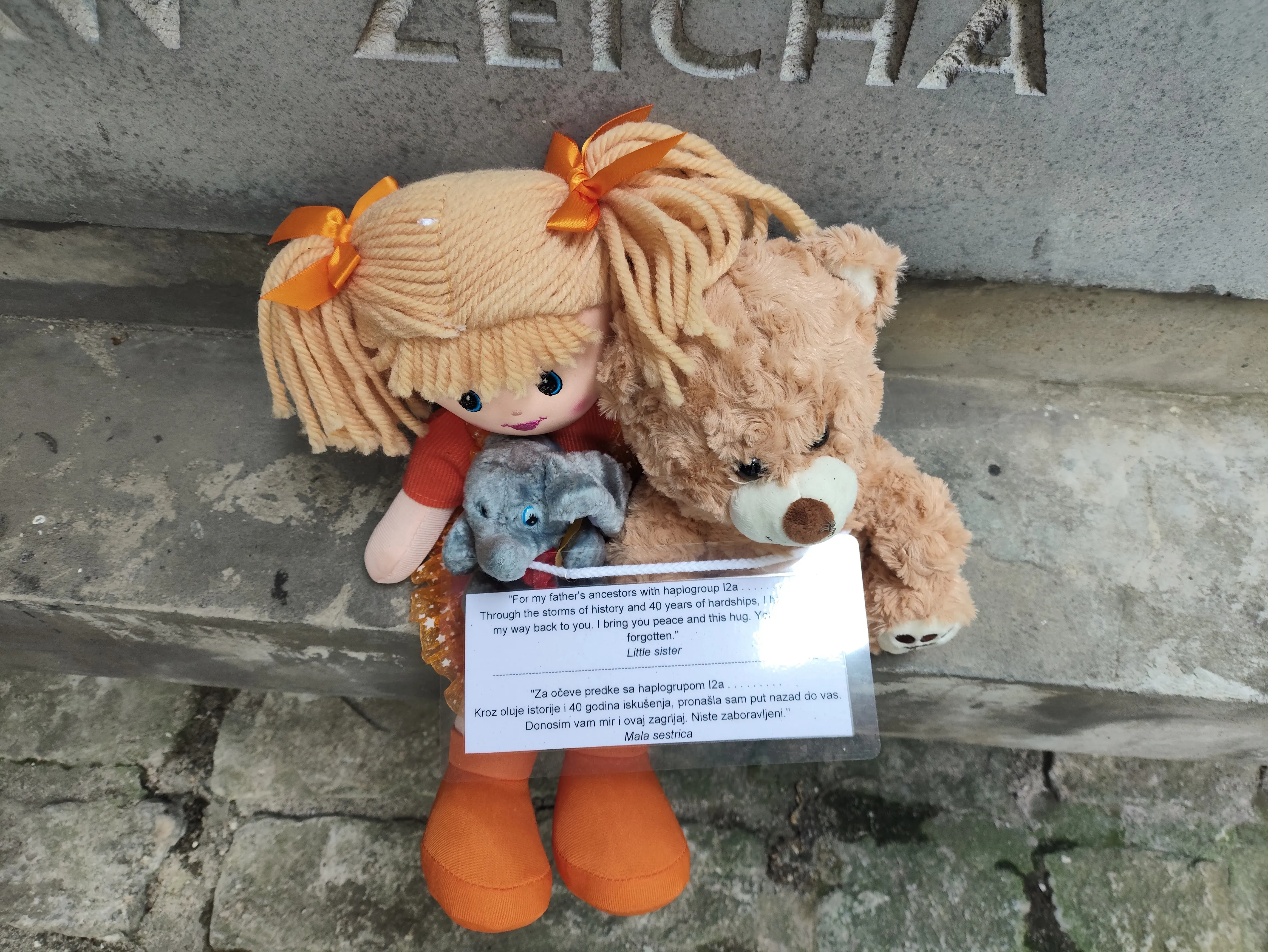 Zdjecie w galerii